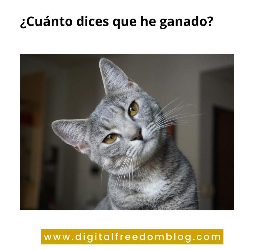 Primera venta - Marketing de afiliados